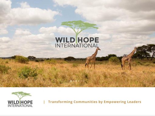 Wild Hope International